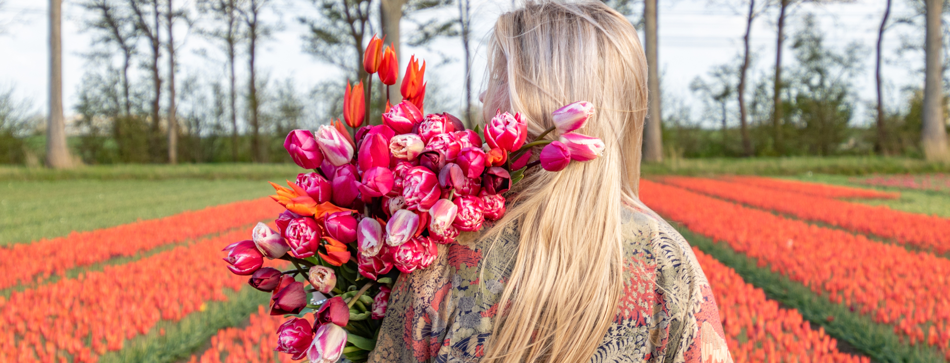 Tulipsgreen - jasmijn Bos-2