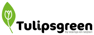 Tulipsgreen